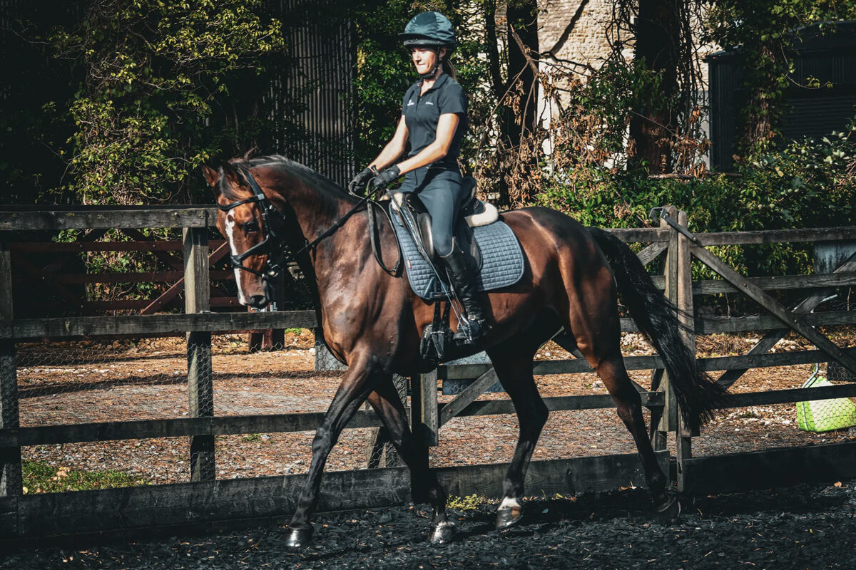 Fairfax Saddlery
