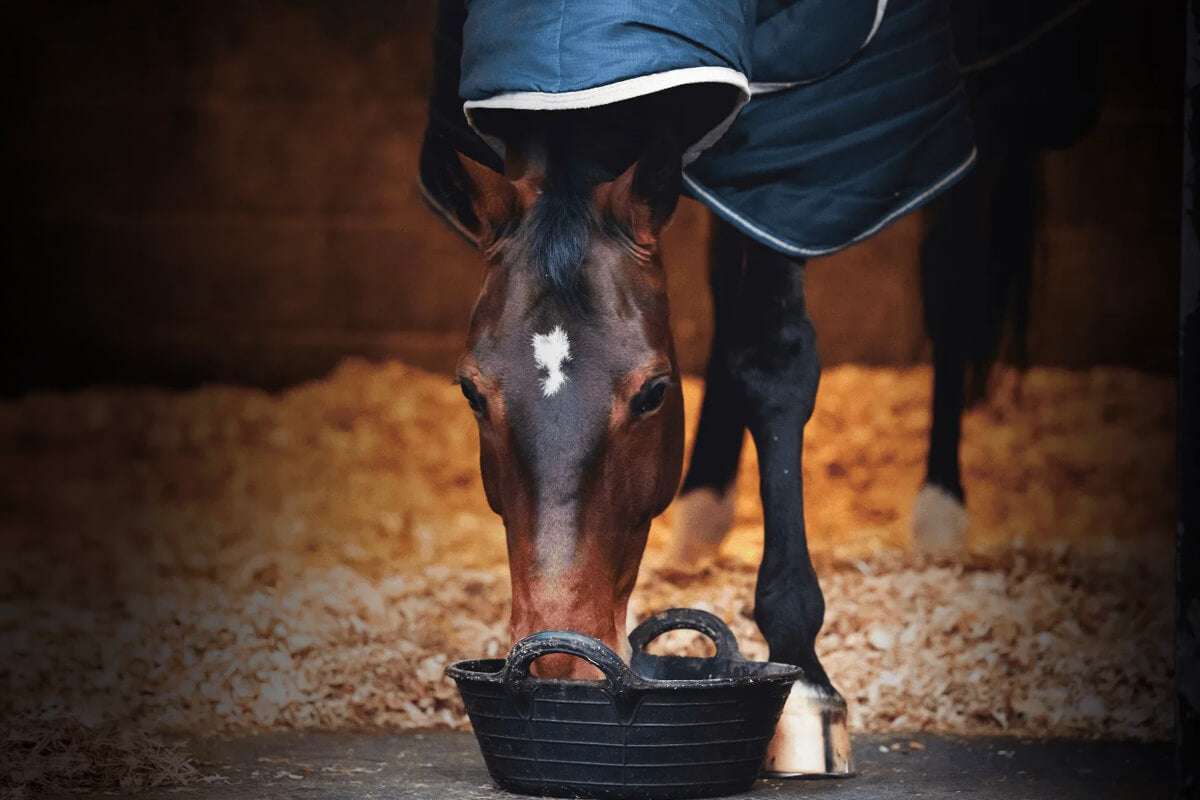 NAF Horse Supplements & Care