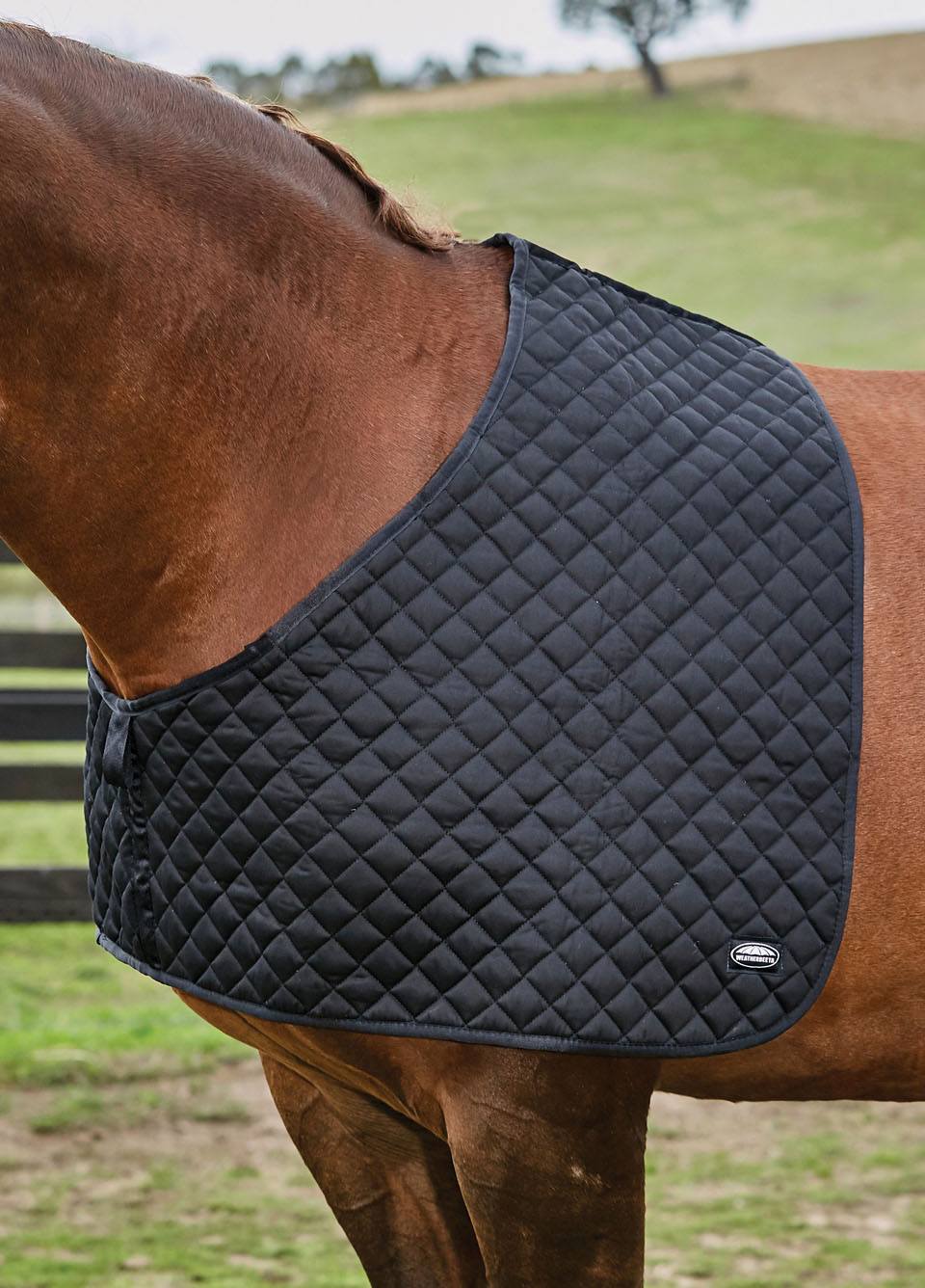 Weatherbeeta Deluxe Shoulder Guard - Black