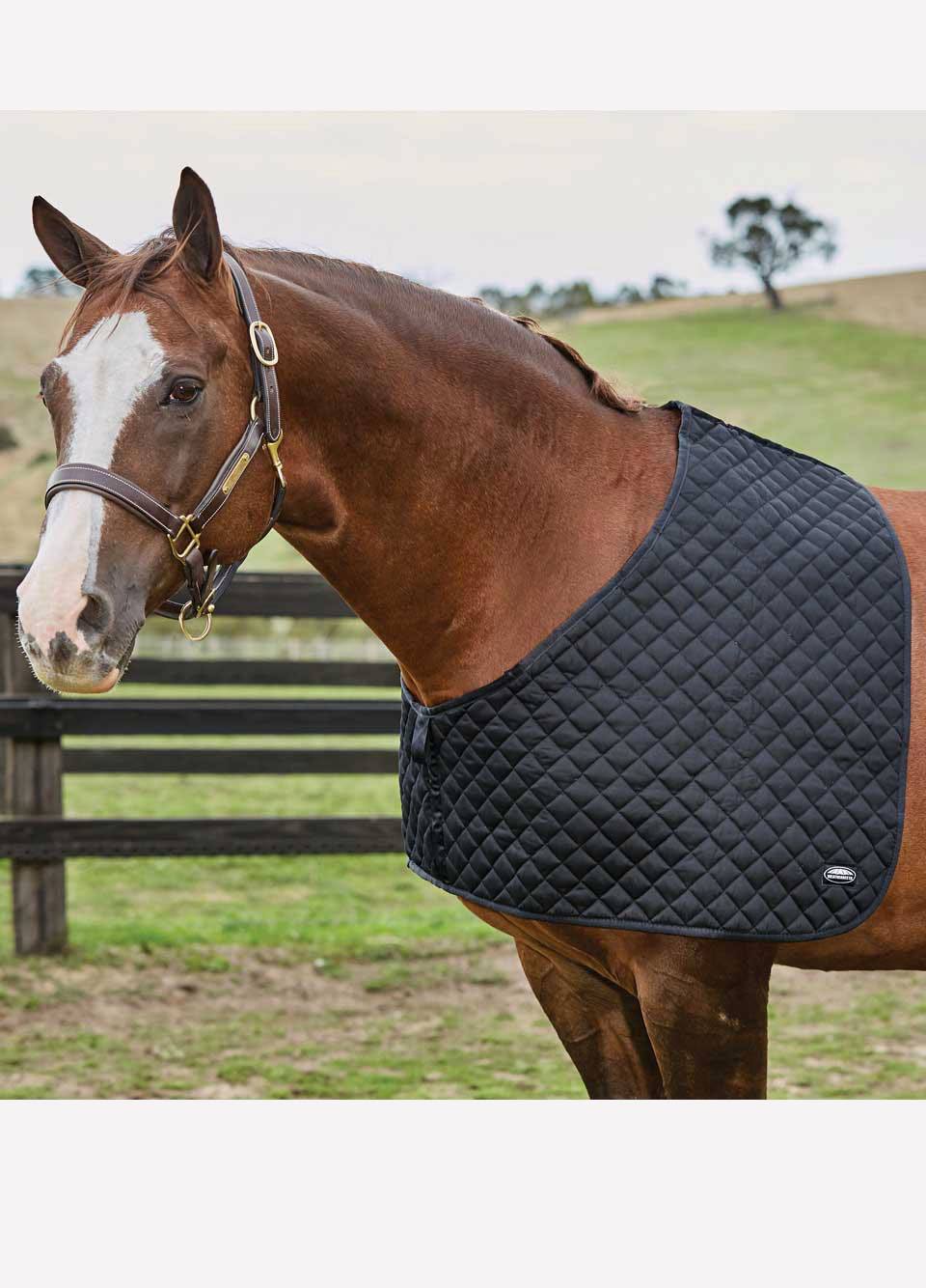 Weatherbeeta Deluxe Shoulder Guard - Black