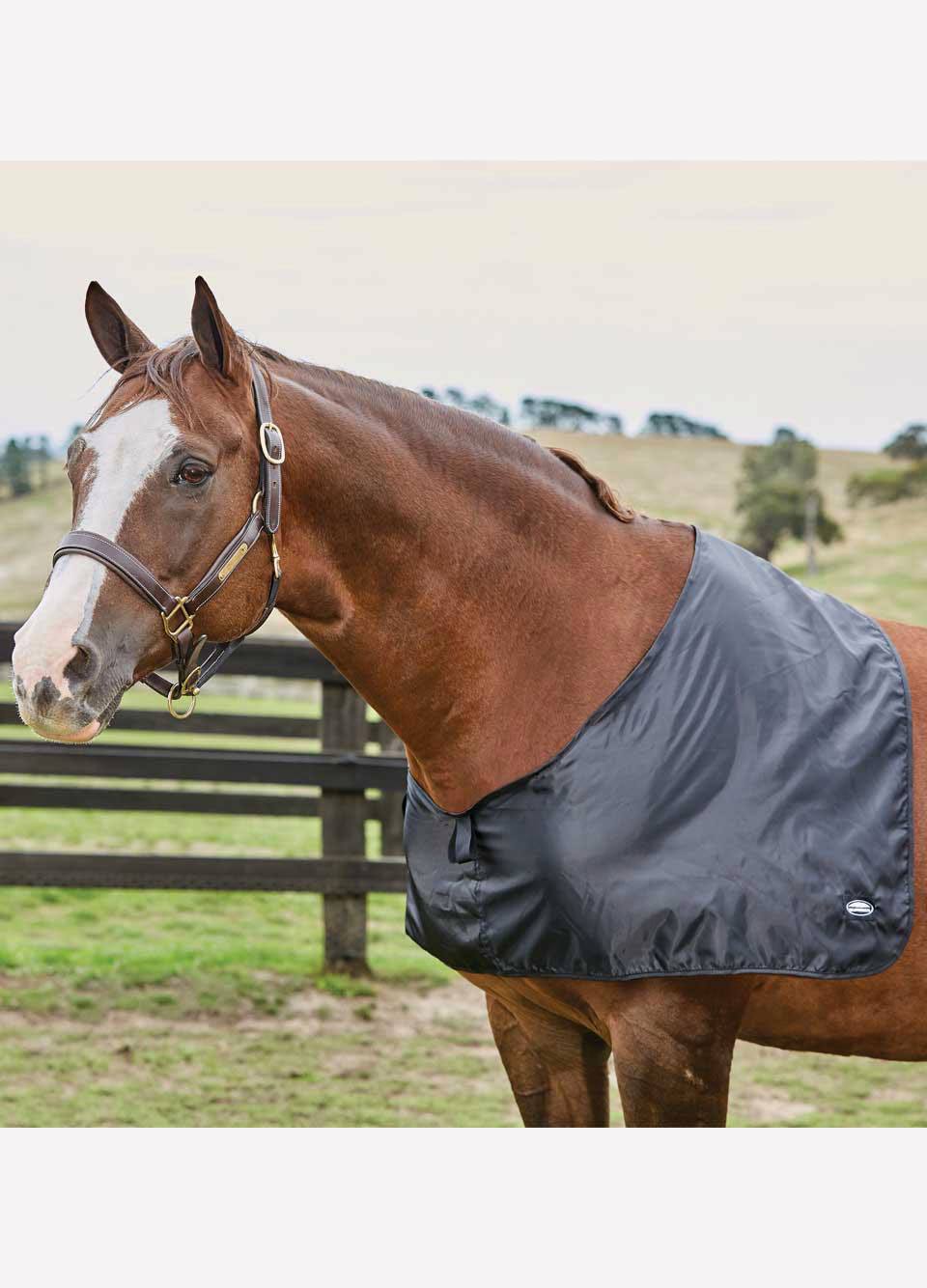 Weatherbeeta Satin Shoulder Guard - Black