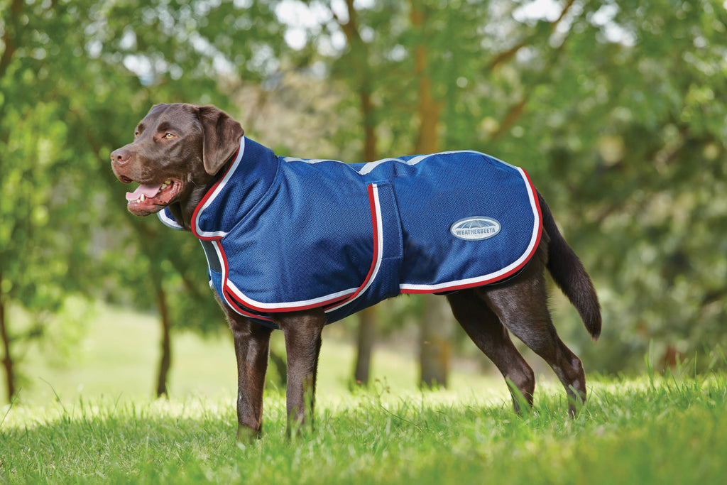 Weatherbeeta Parka 1200D Deluxe Dog Coat - Navy/Red/White