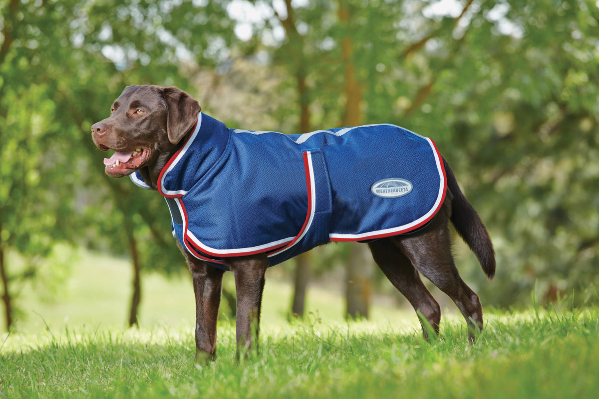Weatherbeeta Parka 1200D Deluxe Dog Coat - Navy/Red/White