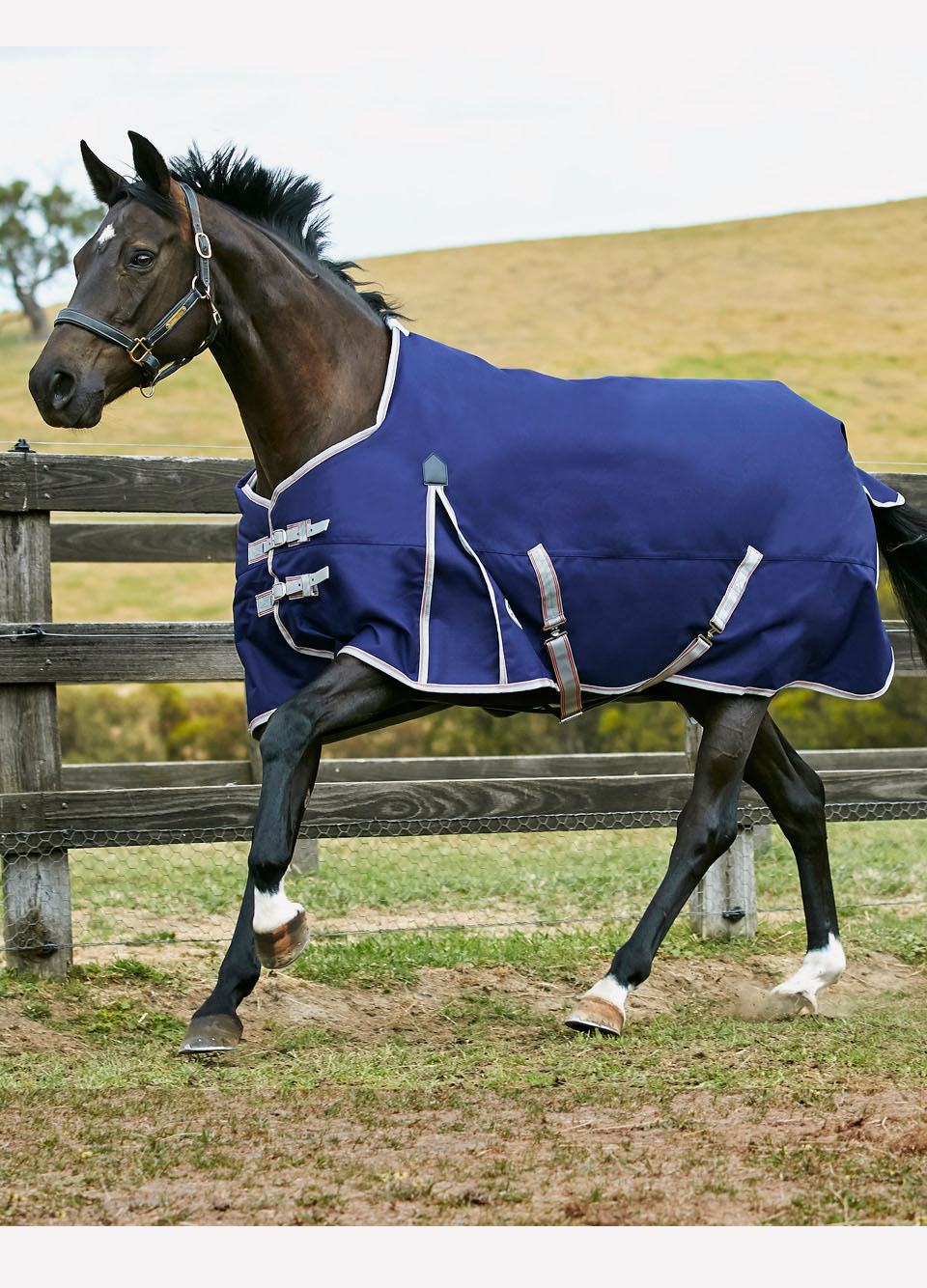 Weatherbeeta Comfitec Essential Std Lite Turnout - Nvy/Svr/Red