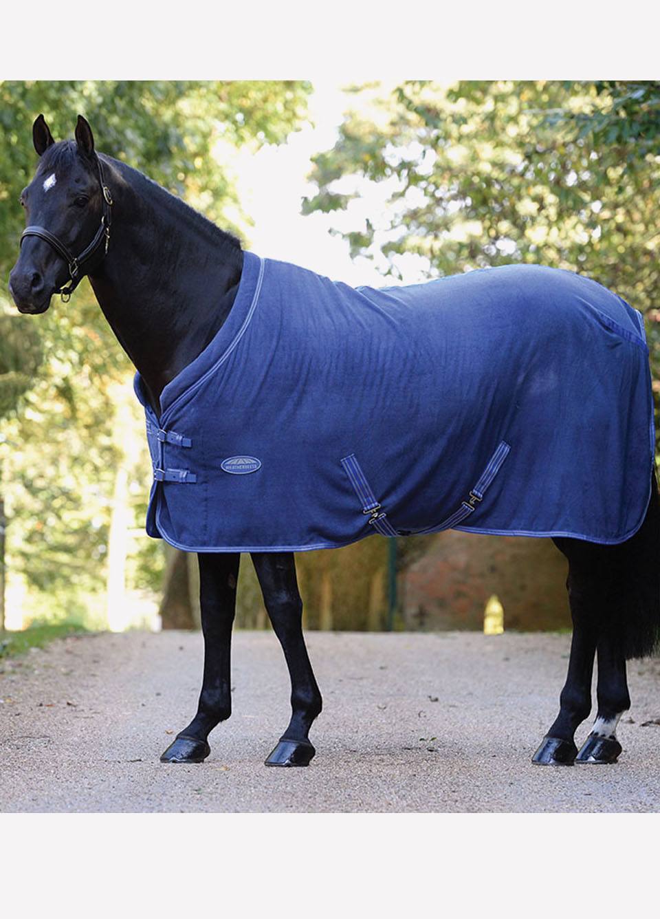Weatherbeeta Cozi-Dri Standard Neck Fleece Rug - Blue/Grey