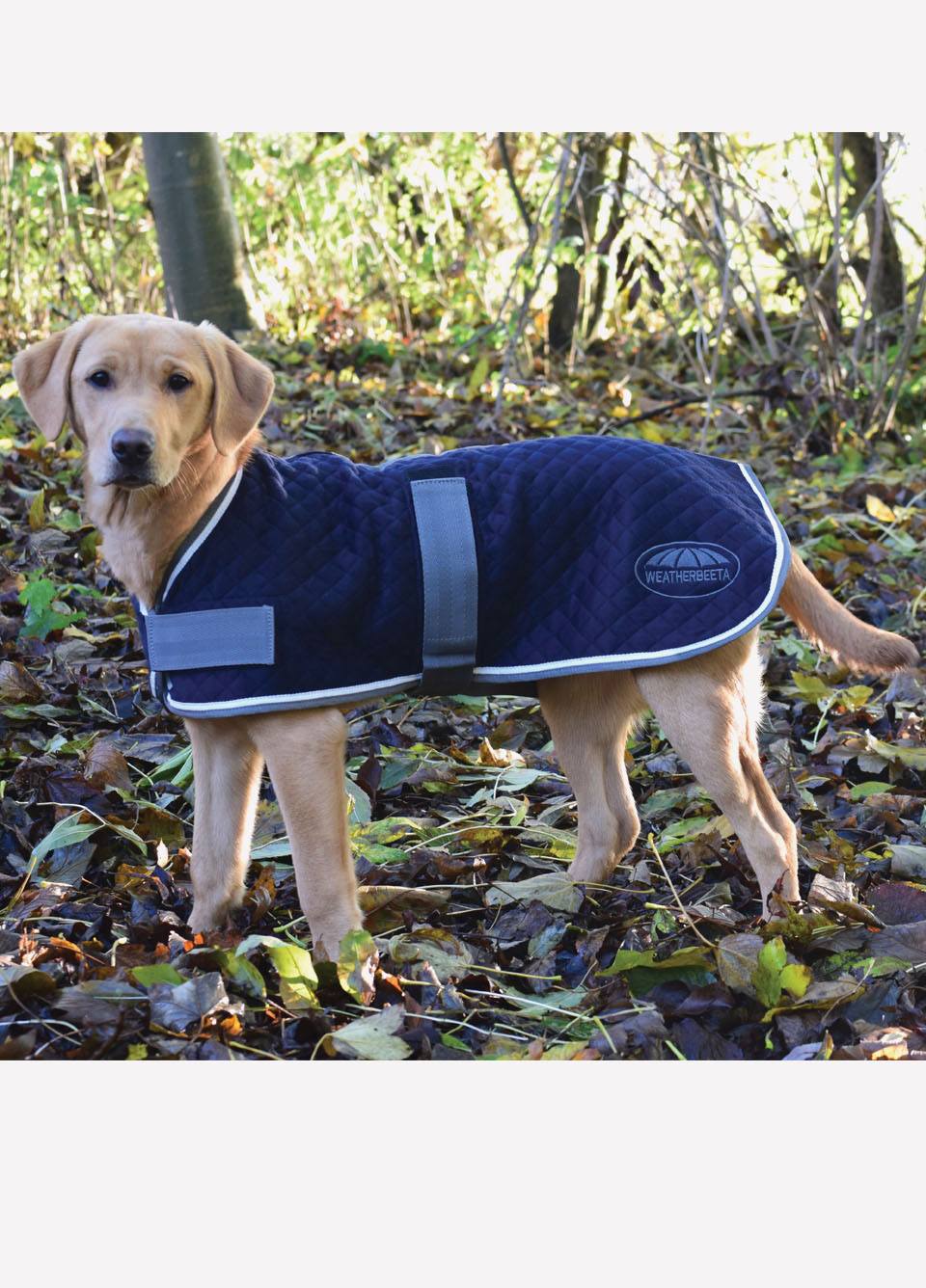 Weatherbeeta Thermic Dog Coat - Navy/Grey/White