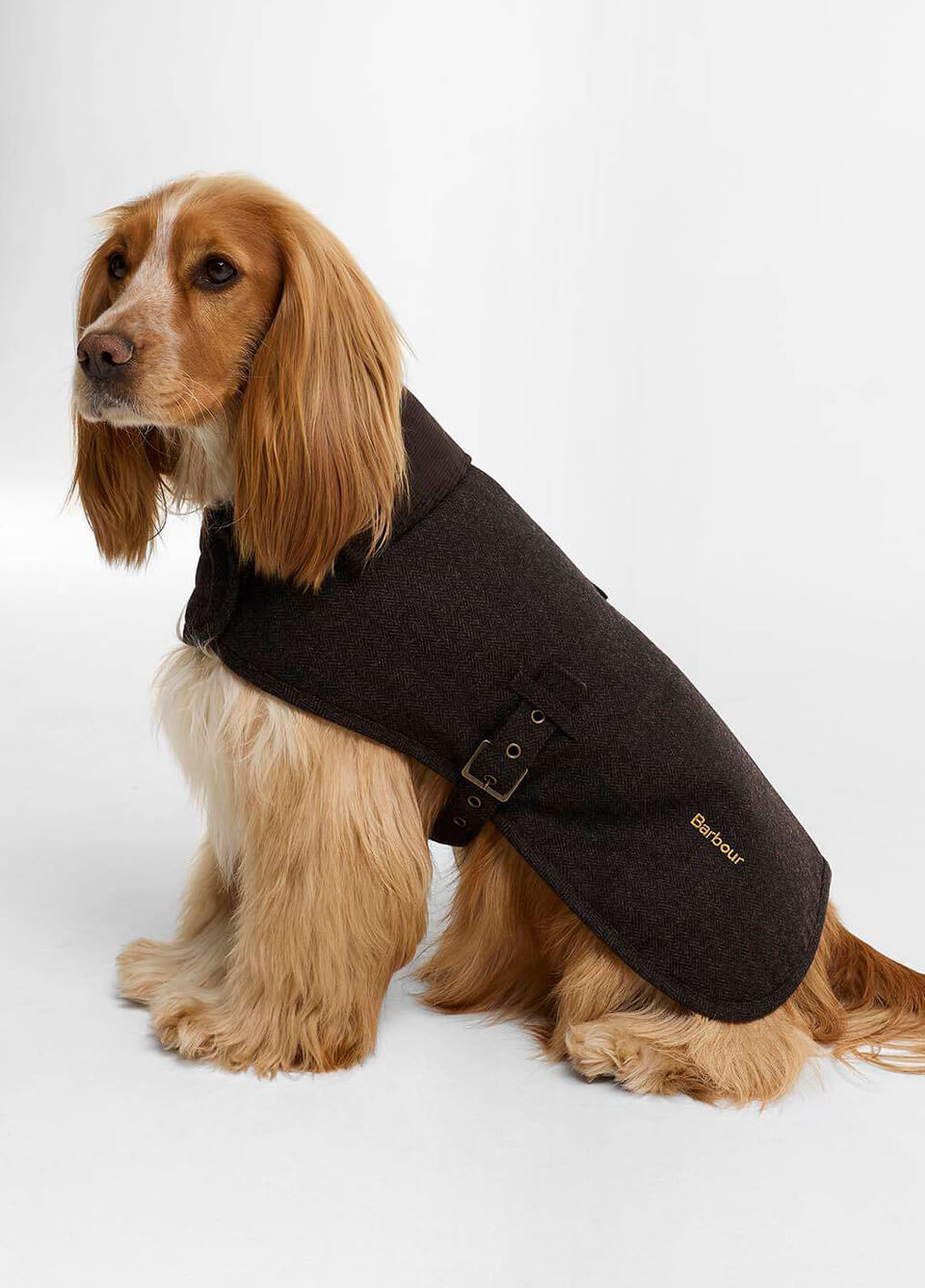 Barbour Barlow Dog Coat - Brown