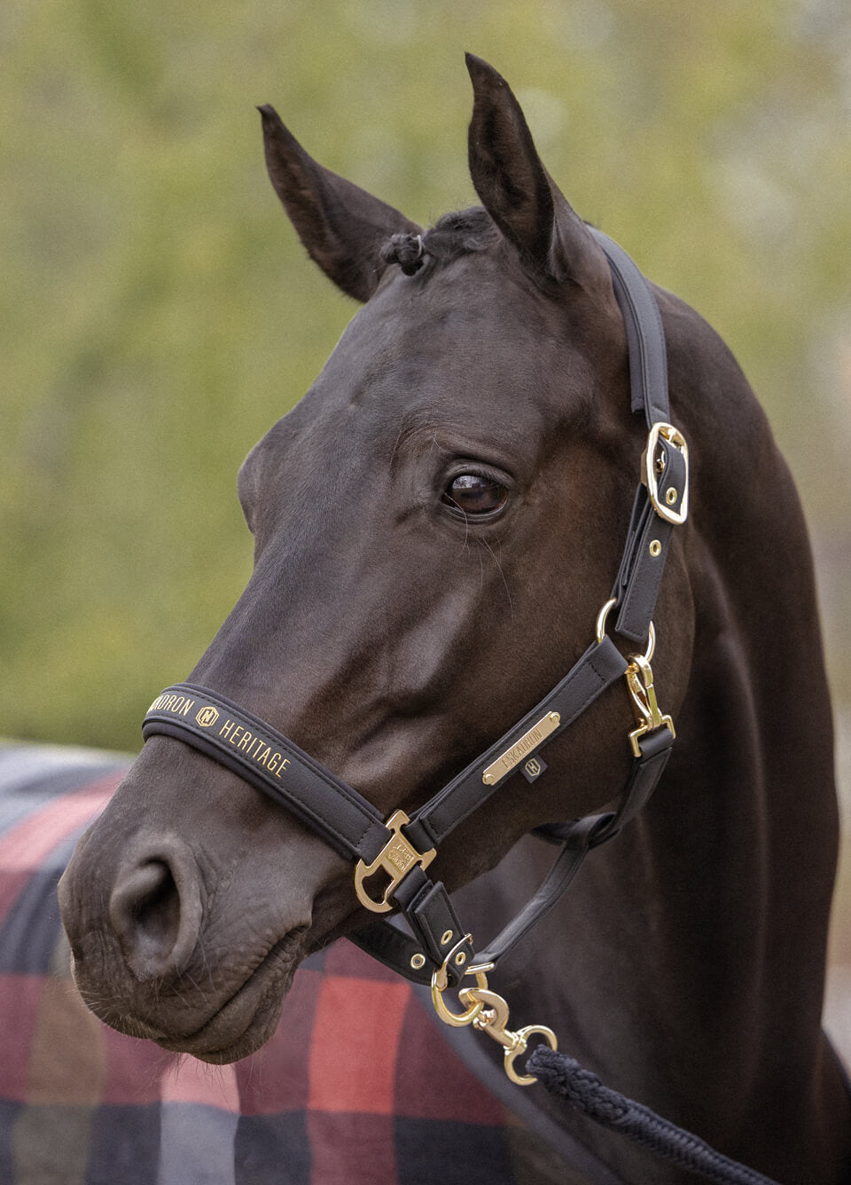 Eskadron Heritage Faux Leather Headcollar - Black