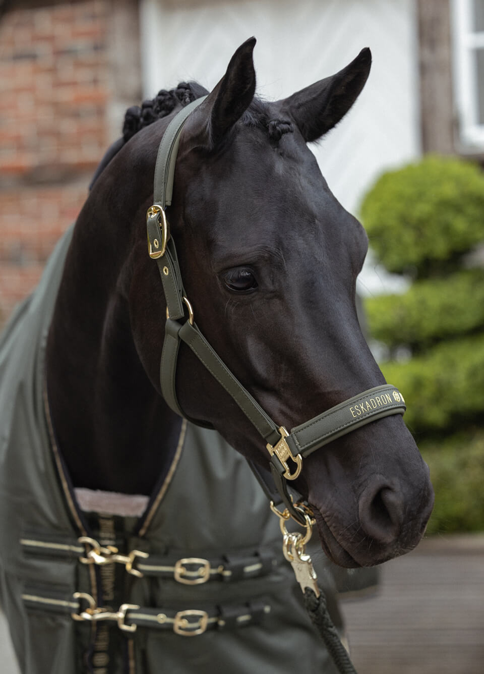 Eskadron Heritage Faux Leather Headcollar - Deep Moss
