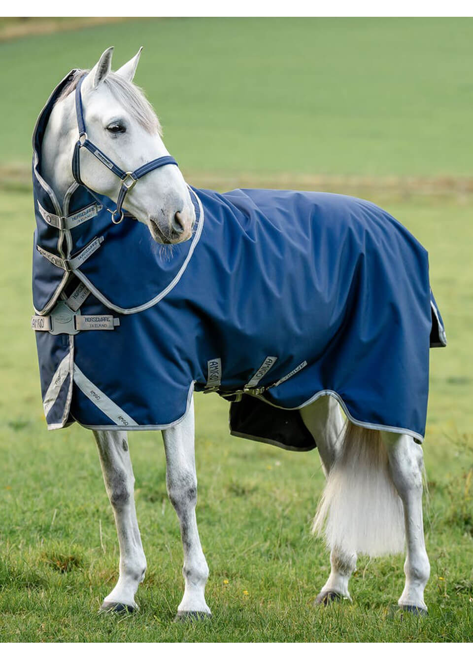 Amigo 1200D Fieldsafe Plus Turnout 100g - Navy/Titanium