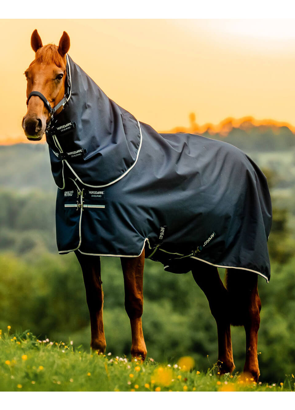 Amigo Ripstop 900D Plus Pony Turnout 200g - Witney Navy