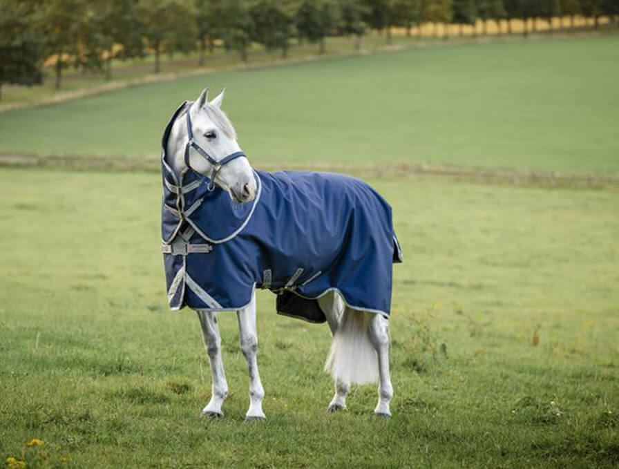 Horseware - Protect your horse - whatever the weather