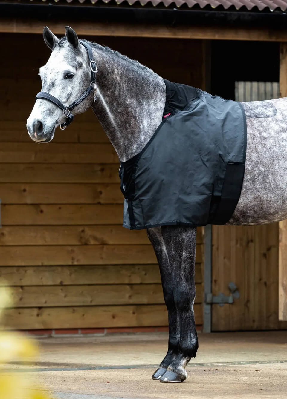 LeMieux Anti-Rub Bib - Black