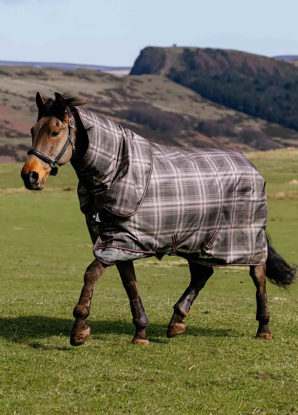 LeMieux Arika Heritage 200g Turnout Rug - Cocoa