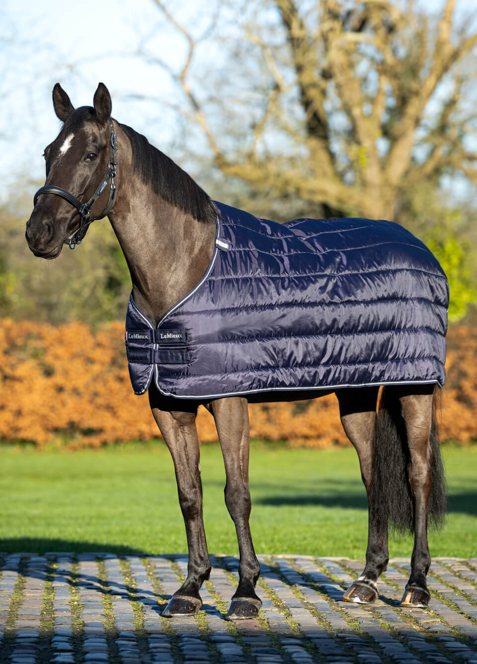 LeMieux Arika Rug Liner 100g - Navy
