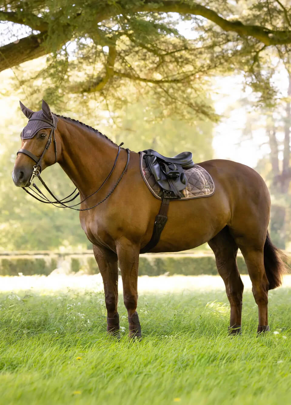 LeMieux Heritage Check Jump Square - Cocoa