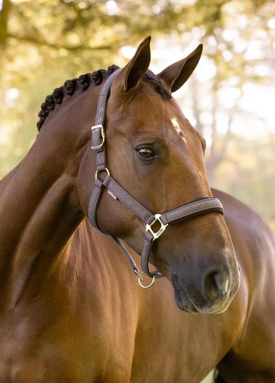 LeMieux Heritage Headcollar - Cocoa