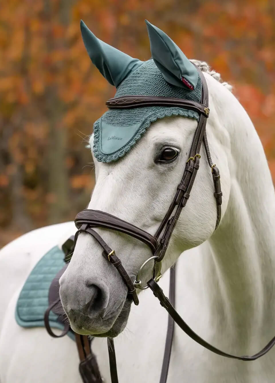 LeMieux Classic Fly Hood - Aloe
