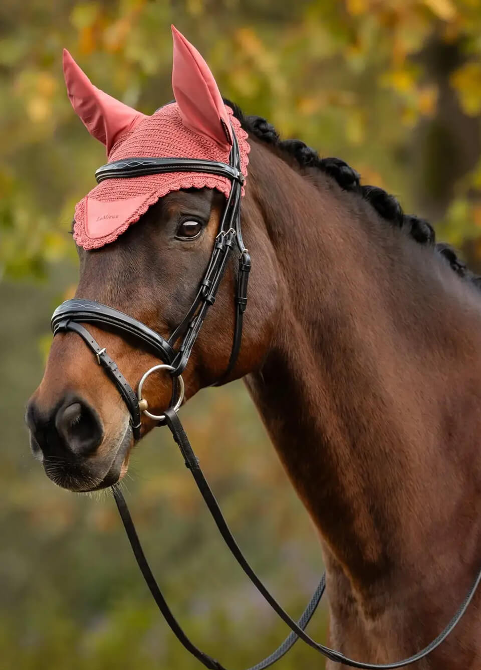 LeMieux Classic Fly Hood - Spiced Earth