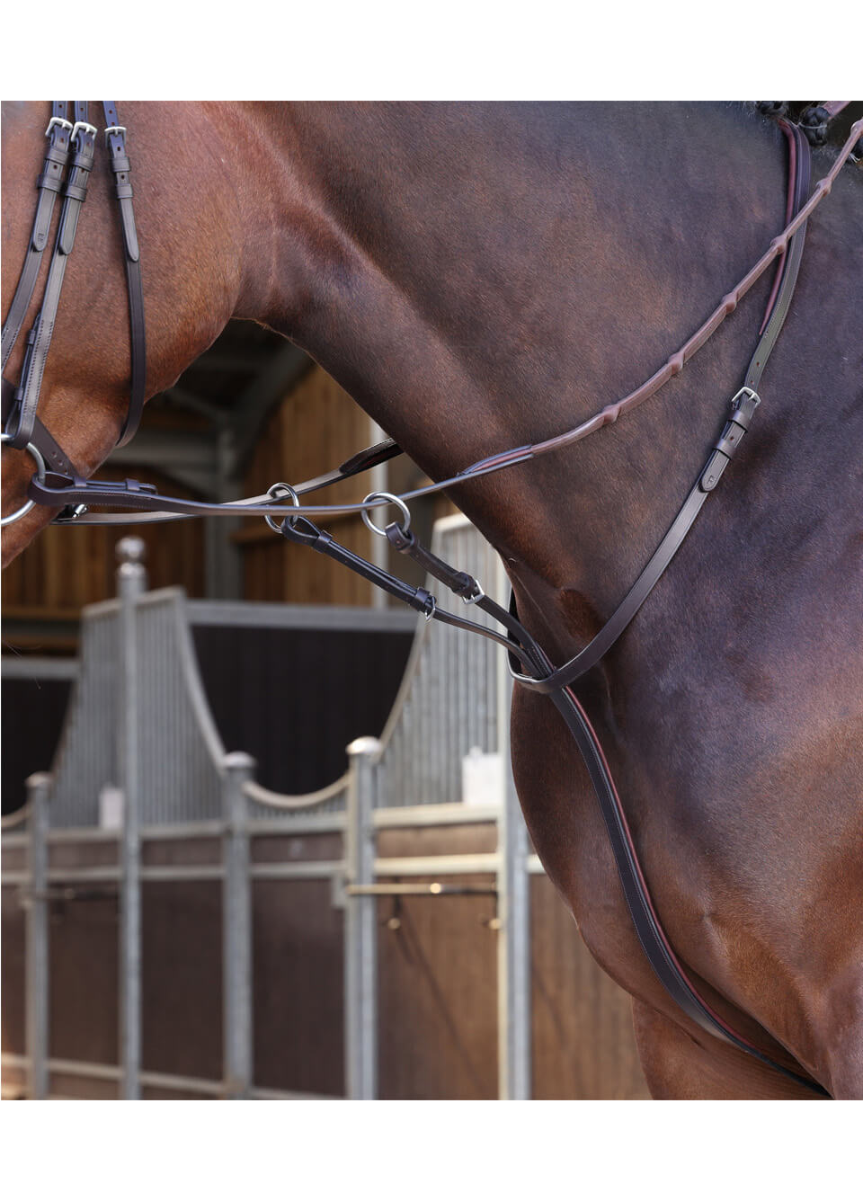 Shires Lusso Elite Running Martingale - Havana