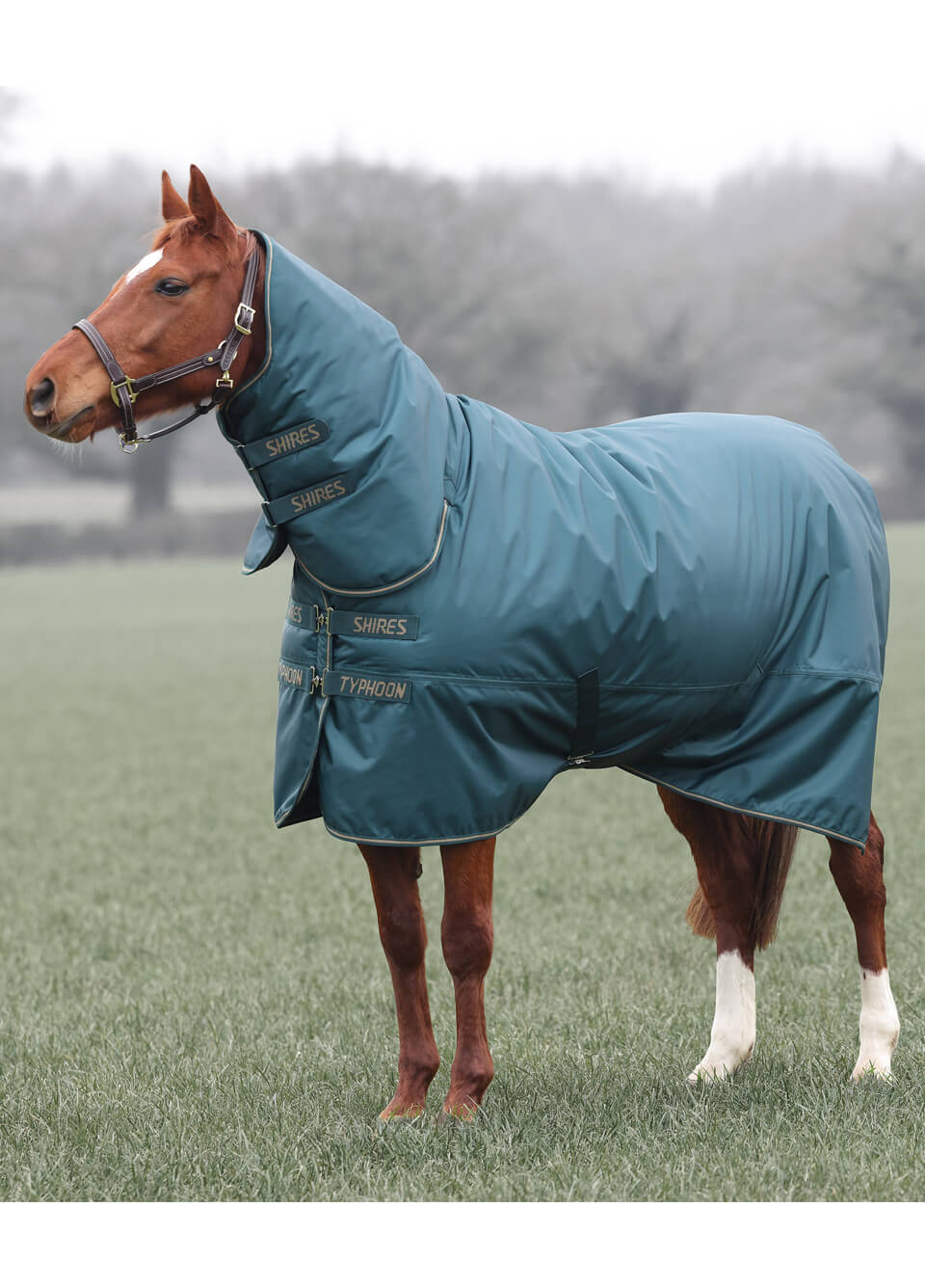 Shires Typhoon 20g Combo Turnout Rug - Green
