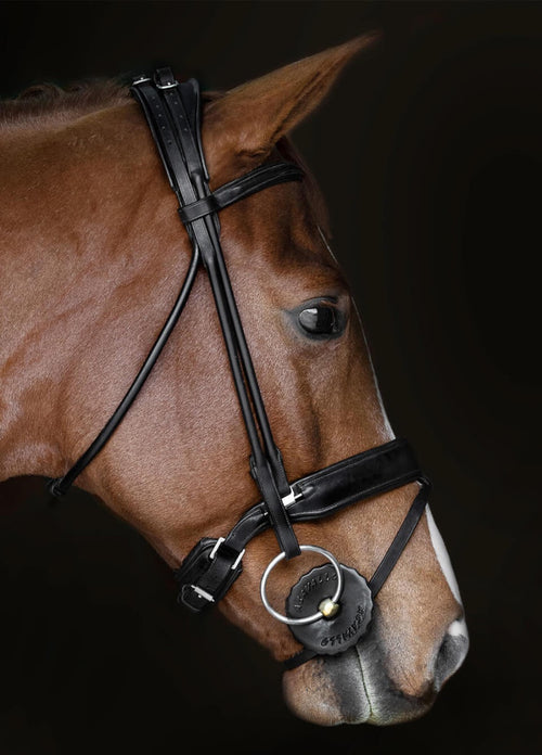 Acavallo Gel Bit Guard - Black