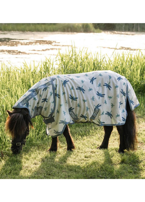 Amigo Bug Rug Plus Petite Fly Sheet - Dragonfly Print