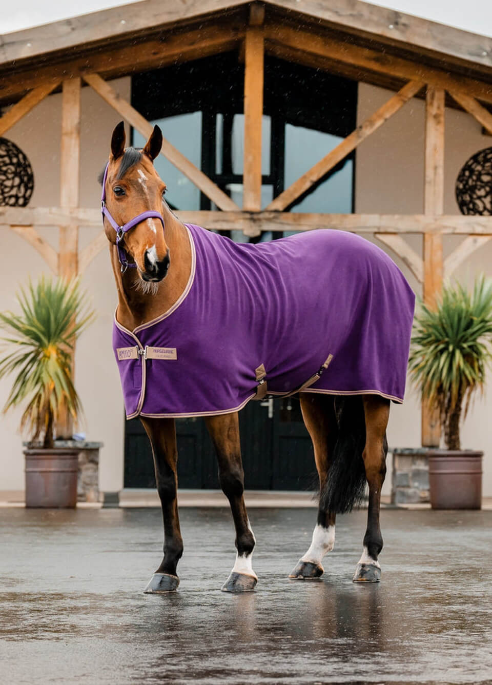 Amigo Fleece Cooler - Winterberry/Taupe