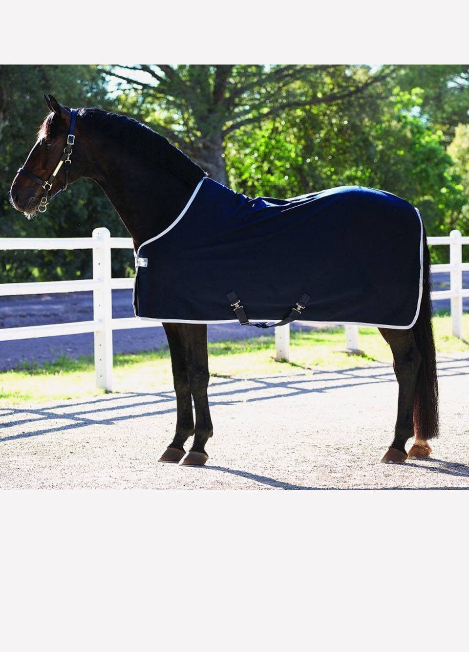 Amigo Jersey Cooler Rug - Navy/Silver