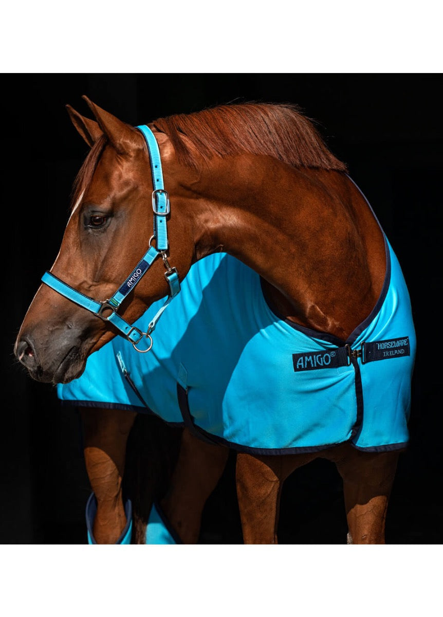 Amigo Jersey Cooler - Delphinium