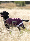 Amigo Dog Rug Ripstop - Fig/Navy