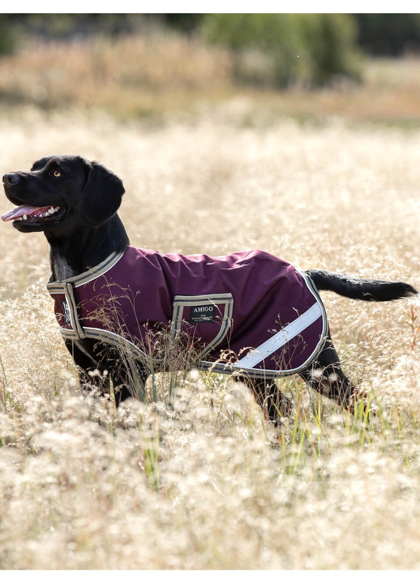 Amigo Dog Rug Ripstop - Fig/Navy