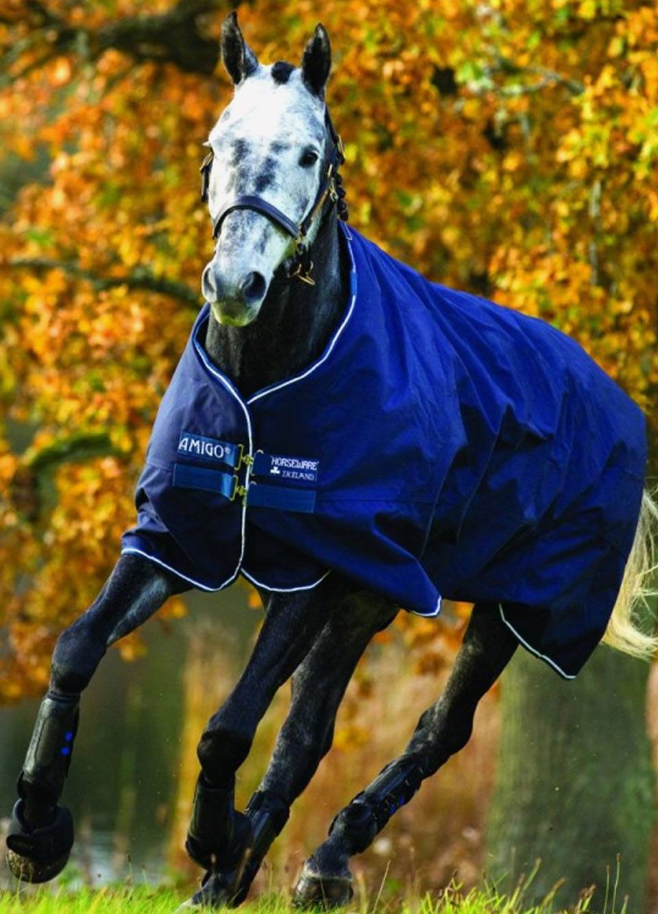 Amigo Bravo 12 Lite Turnout Rug - Navy