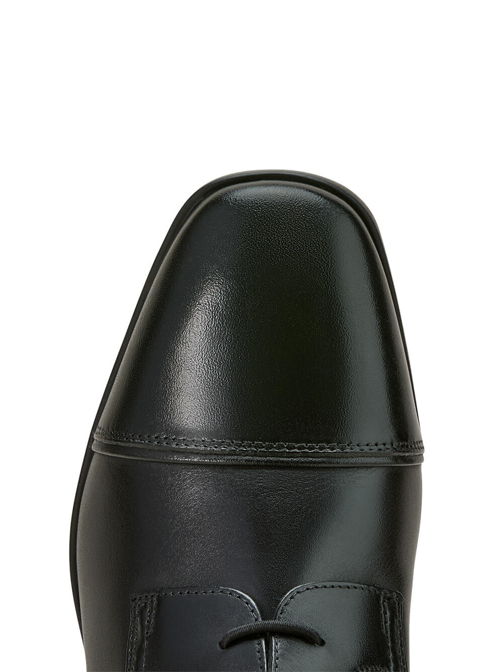 Ariat Palisade Field Tall Riding Boot - Black