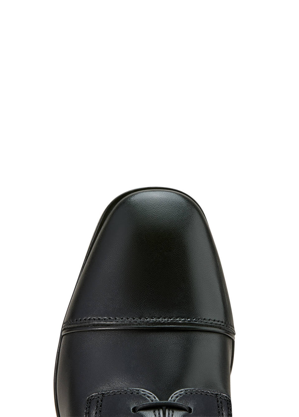 Ariat Palisade Lace Tall Riding Boot - Black