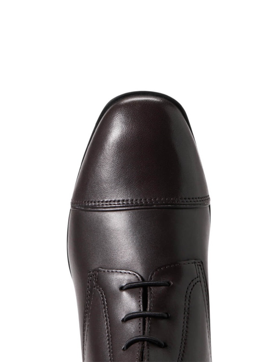 Ariat Womens Palisade Tall Boot - Cocoa