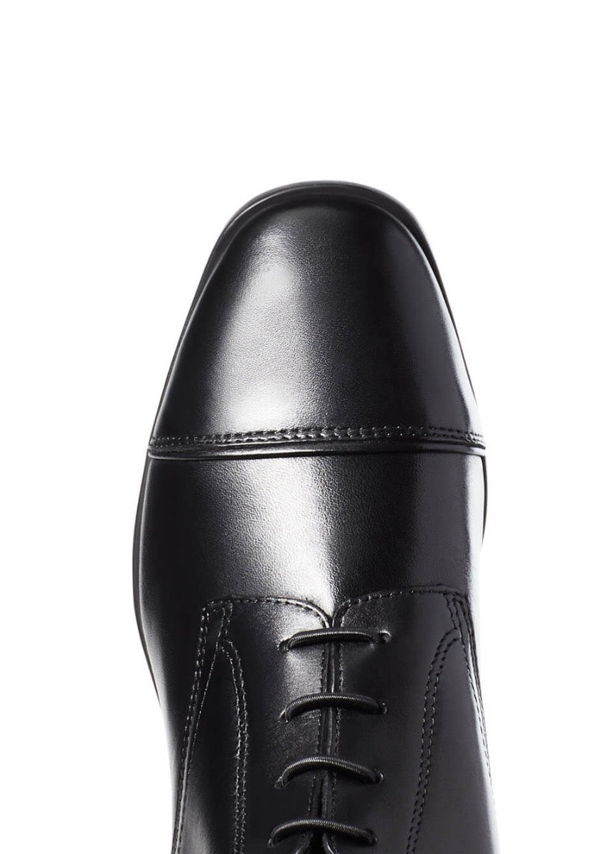 Ariat Womens Palisade Tall Boot - Black