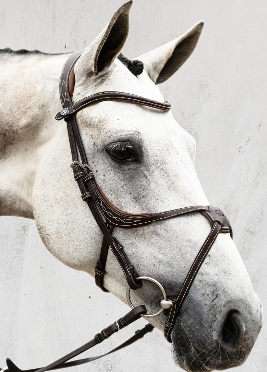 PS of Sweden Athens Bridle - Brown