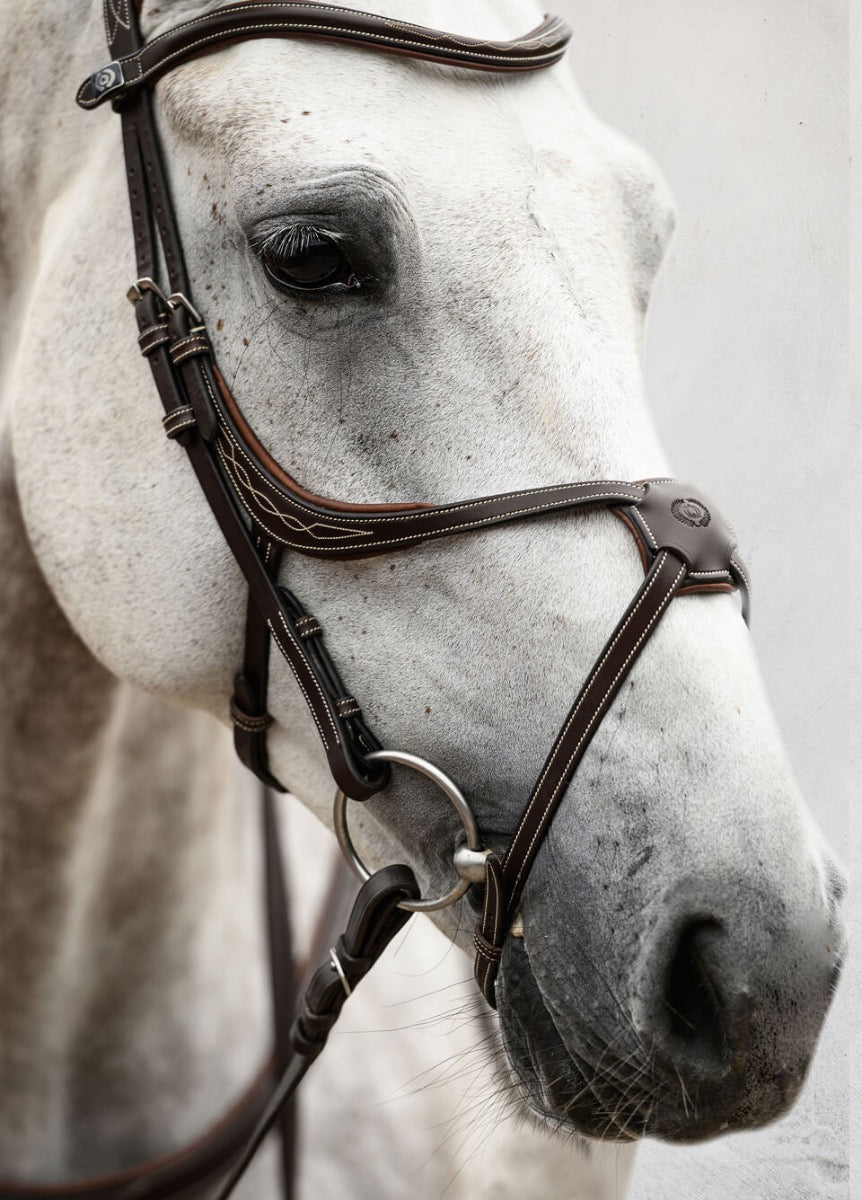 PS of Sweden Athens Bridle - Brown