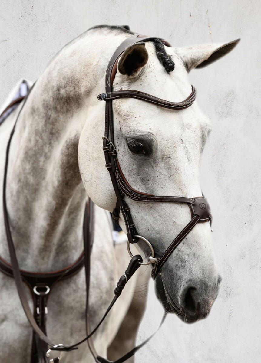 PS of Sweden Athens Bridle - Brown