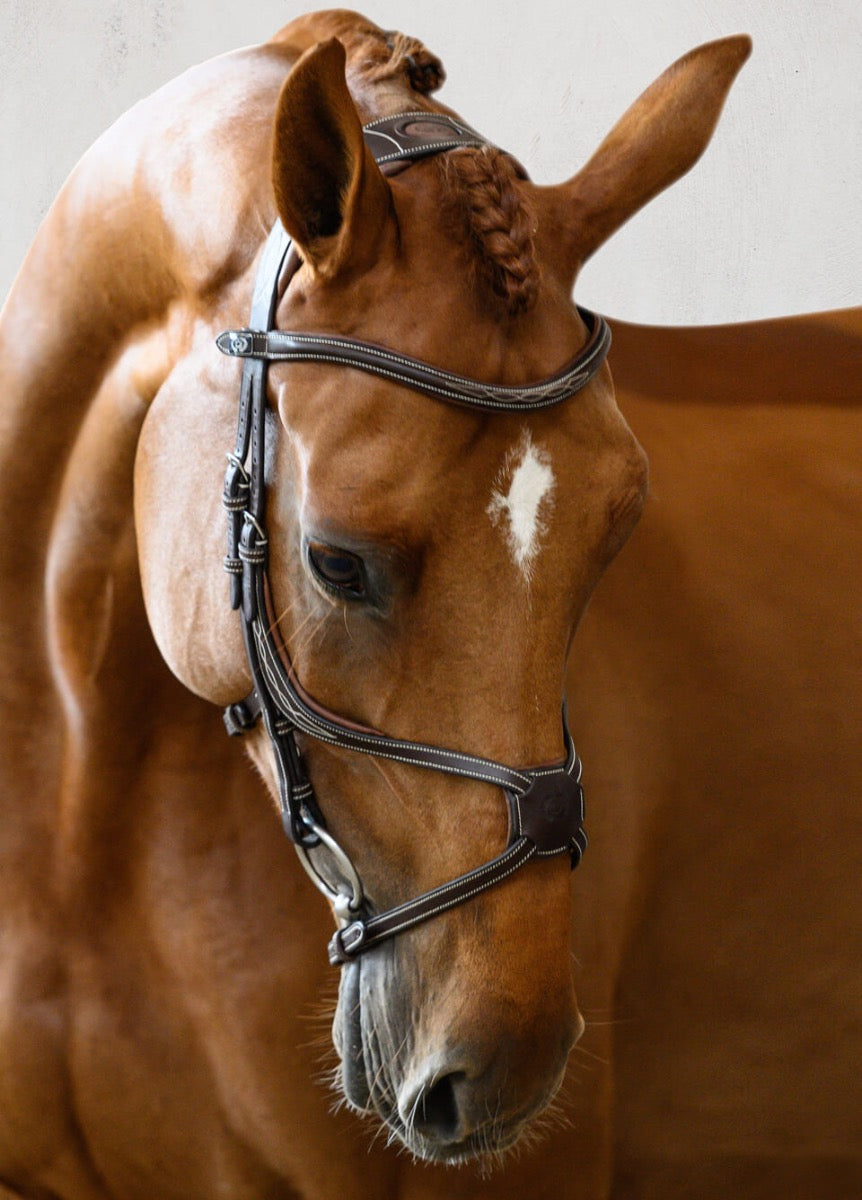 PS of Sweden Athens Bridle - Brown