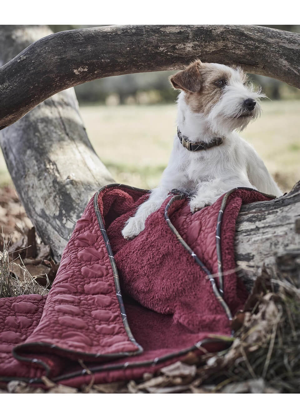 Barbour Dog Bone Quilted Blanket - Cranberry