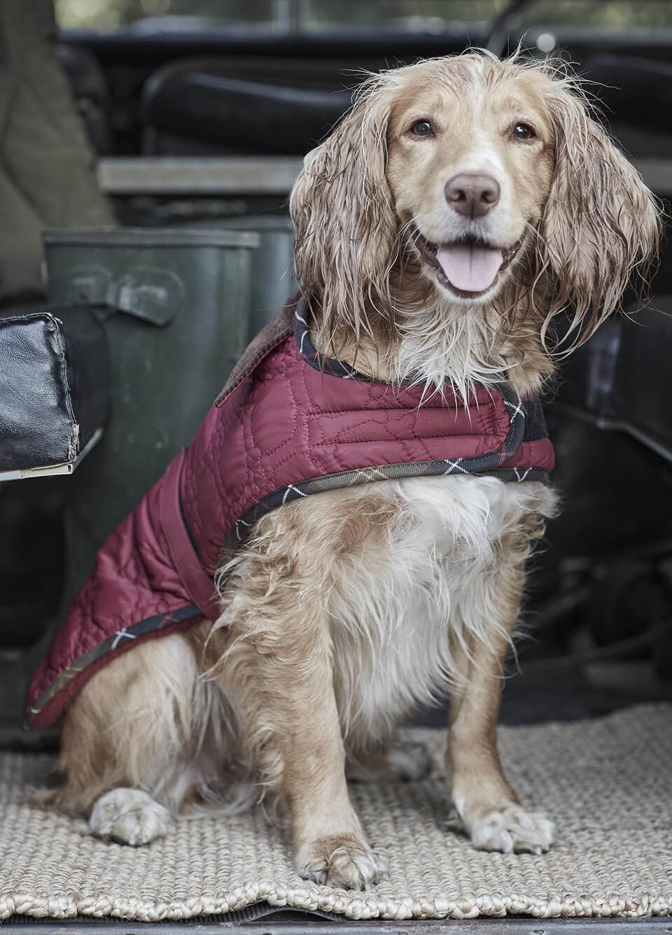 Barbour Dog Bone Quilt Dog Coat - Cranberry