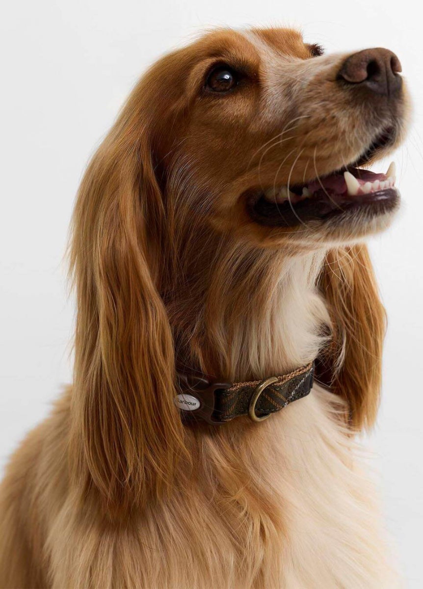 Barbour Tartan & Webbing Dog Collar - Classic Tartan