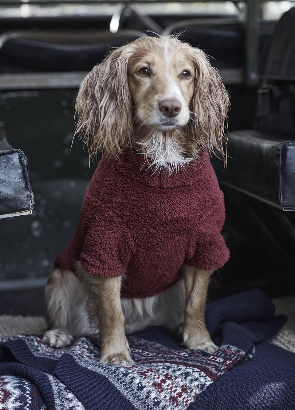 Barbour Teddy Dog Fleece - Red