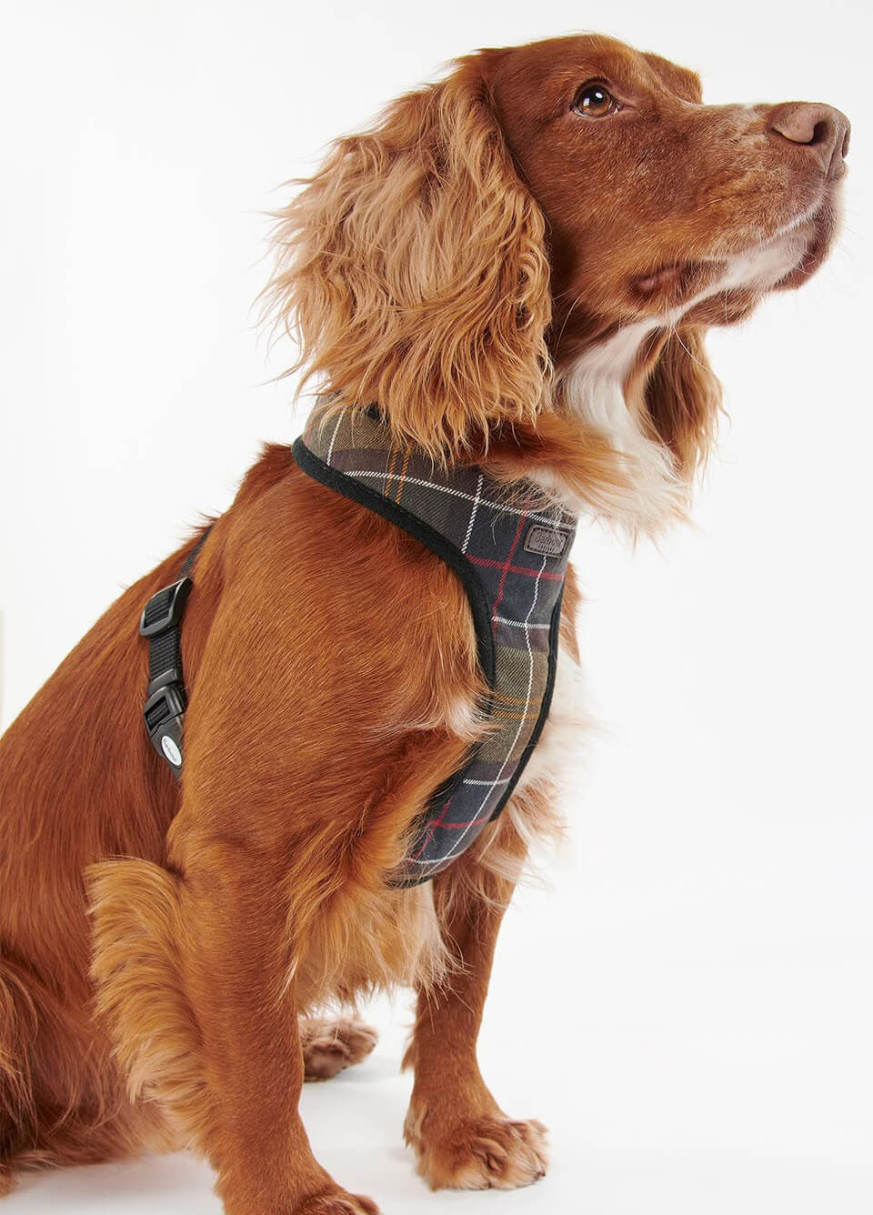 Barbour Tartan Dog Harness - Classic Tartan