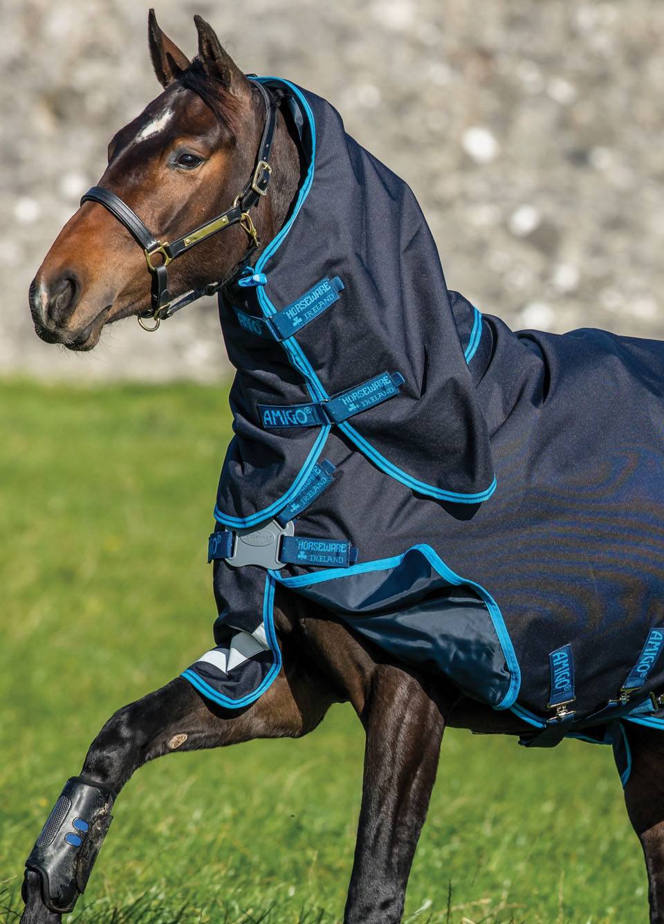 Amigo Bravo Plus 50g Turnout Bundle - Dark Navy/Electric Blue