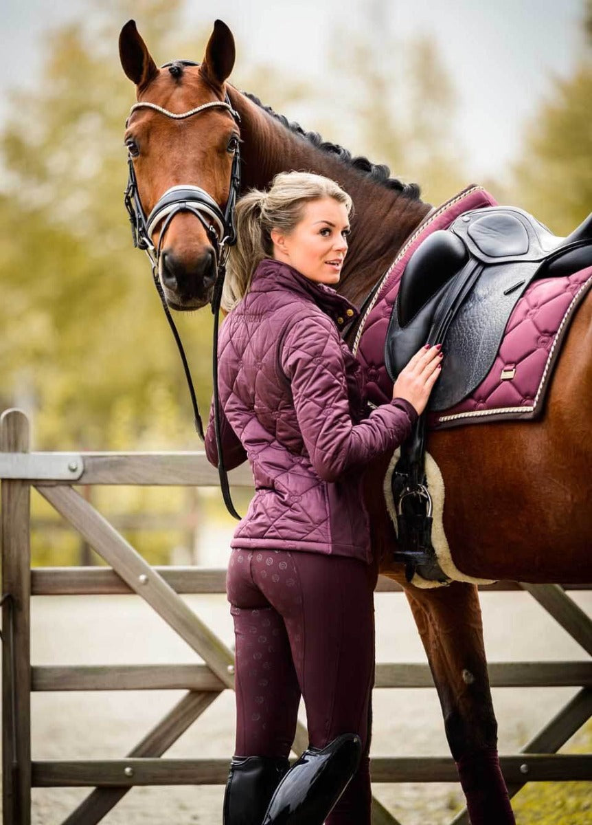 PS of Sweden Brooklyn Breeches - Wine