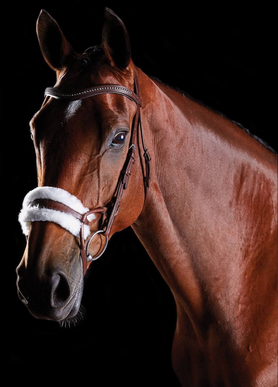 Collegiate ComFiTec Sheepskin Bridle - Brown