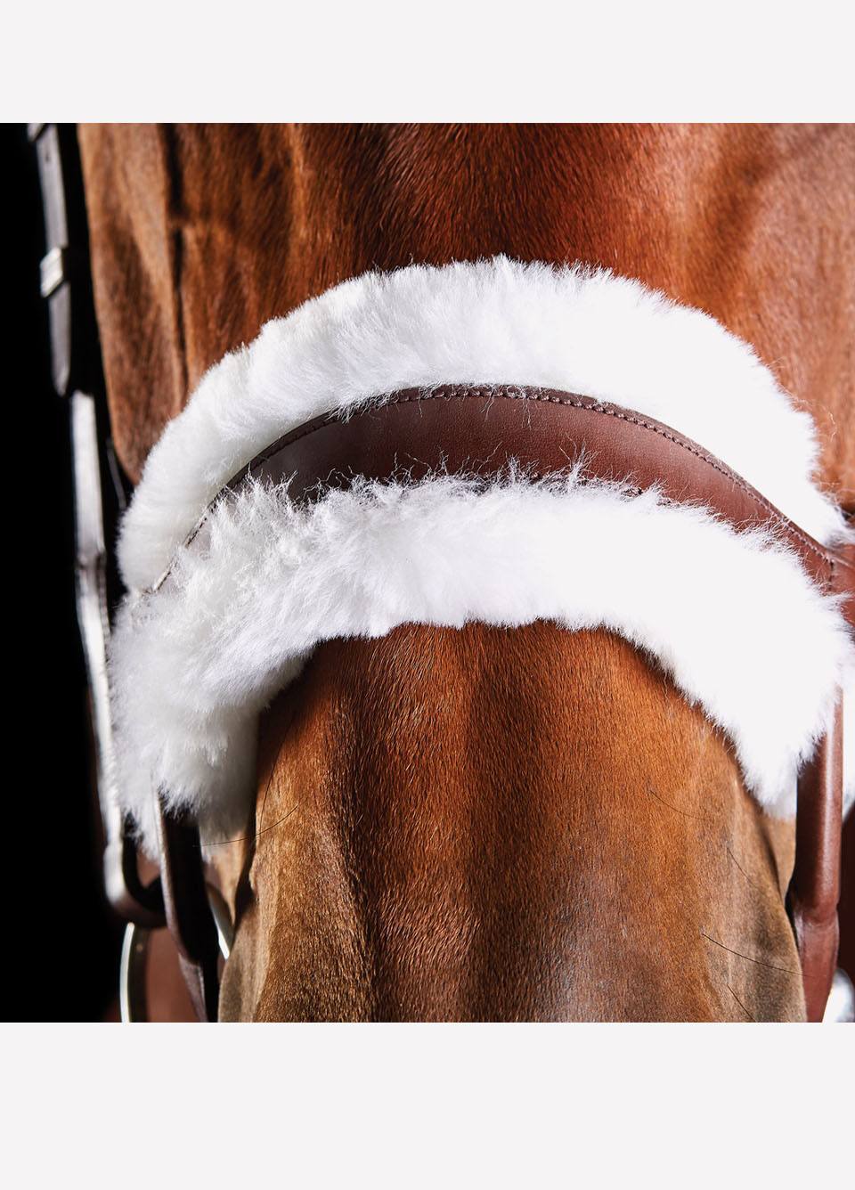 Collegiate ComFiTec Sheepskin Bridle - Brown